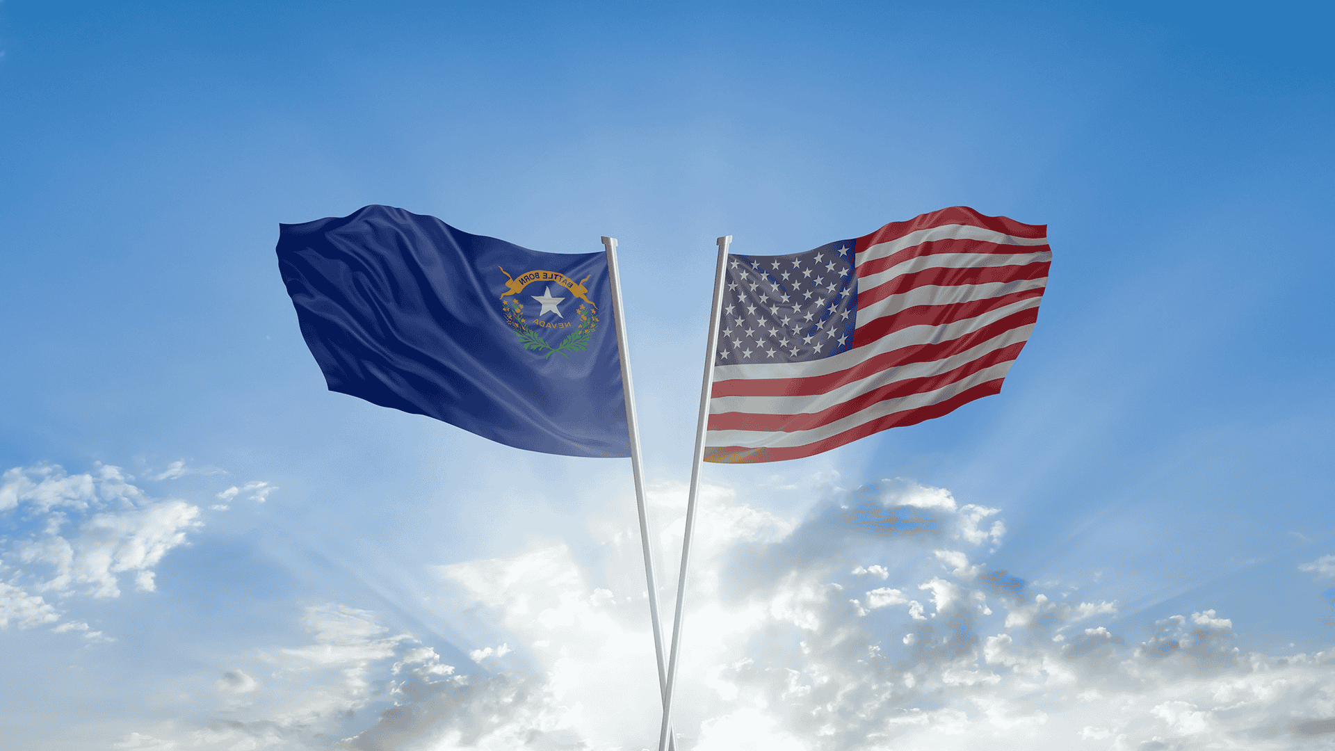 Flag Status